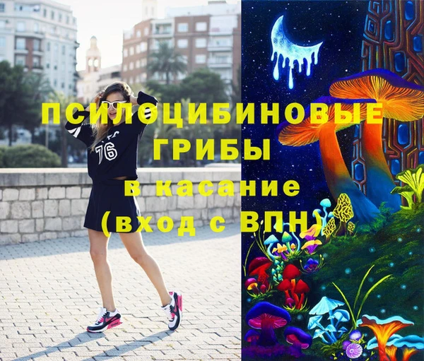 крисы Алексеевка