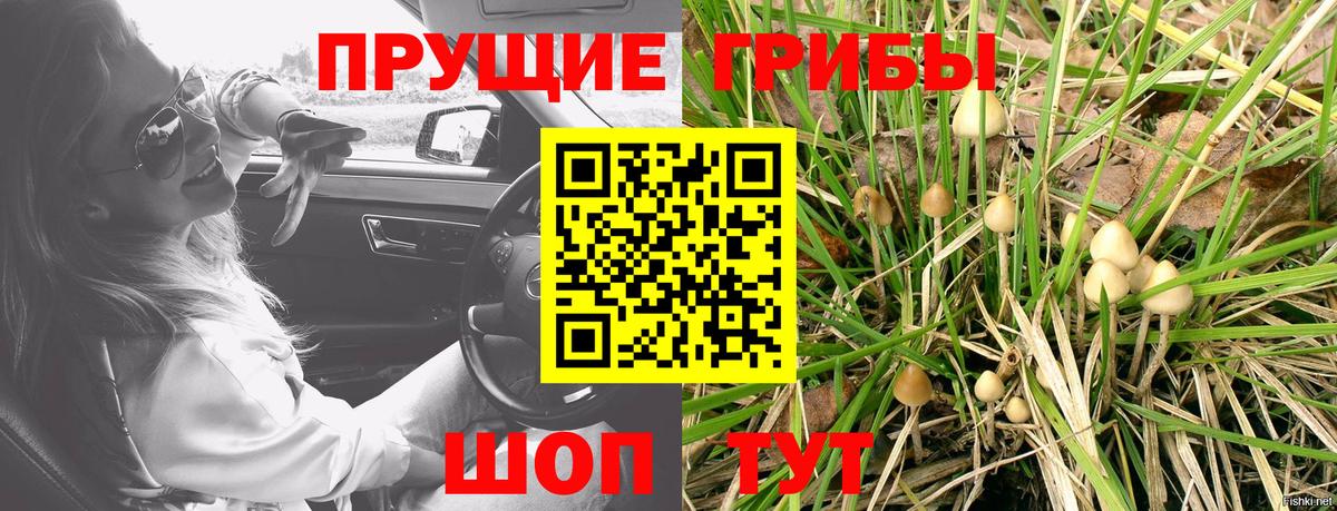 Галлюциногенные грибы мицелий Куйбышев