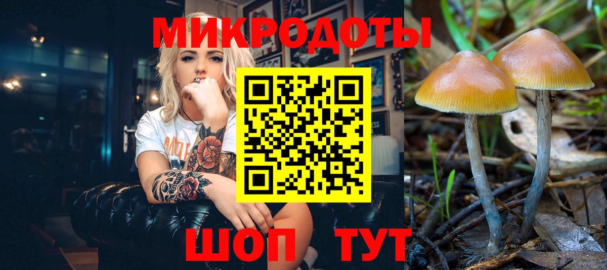 продажа наркотиков  Псилоцибиновые грибы MAGIC MUSHROOMS  Вход с VPN  Куйбышев 